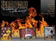 Team Wolff 